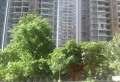 岭秀城小区图片8