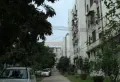 康乐花园小区图片8