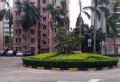 海祥园小区图片8