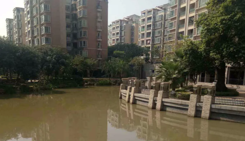 碧桂园翡翠湾楼盘图片10