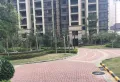保利春天里小区图片2