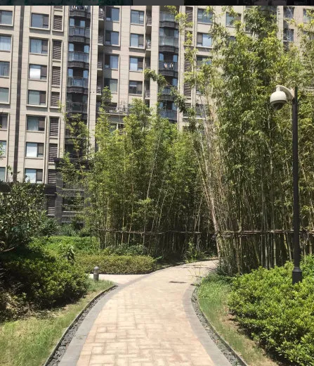 中信泰富锦苑小区图片3