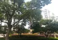 水岸公馆小区图片4