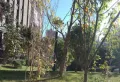 实力心城小区图片9
