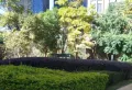 实力心城小区图片10