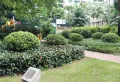 锦城花园小区图片10