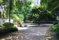 丽江花园星海洲小区图片9