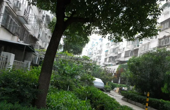 凤凰西街小区小区图片10