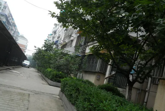 凤凰西街小区小区图片5