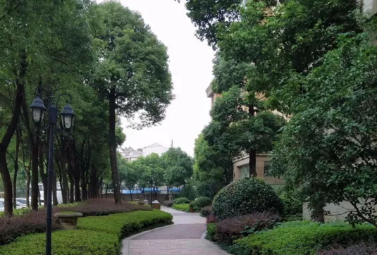 桐园小区图片1