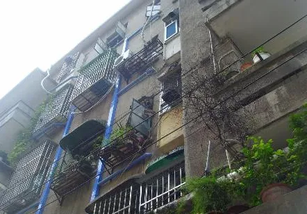 建设新村小区图片7