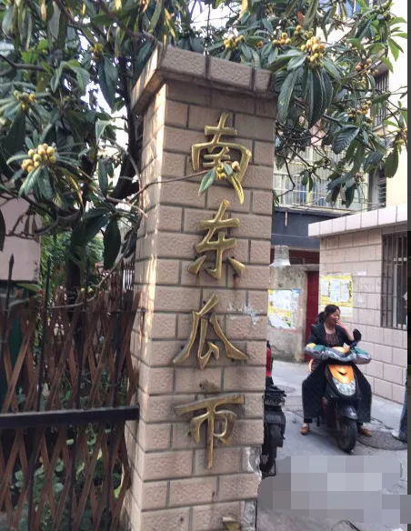南东瓜市小区小区图片2