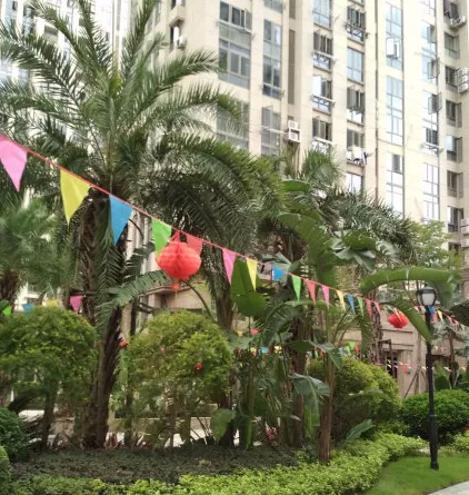 鼎森中央公园小区图片6