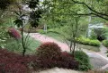 首府小区图片3