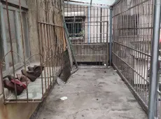 汇川区|四发商住楼3室1厅1卫出售|买房租房佣金全返