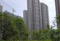 保利西江月小区图片8