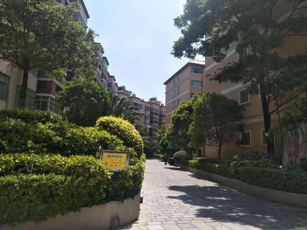 出租1