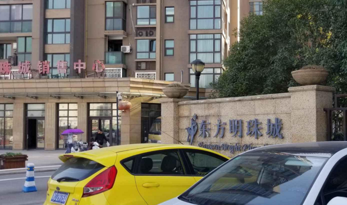 东方明珠城小区图片