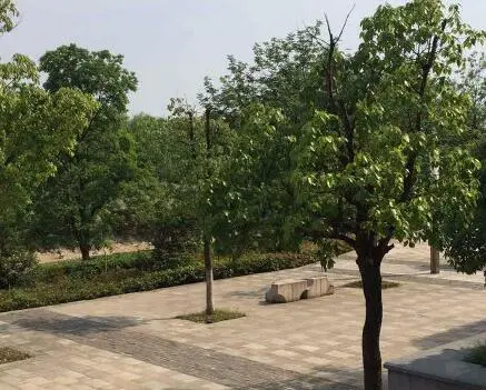 汤城东郡广场小区图片4
