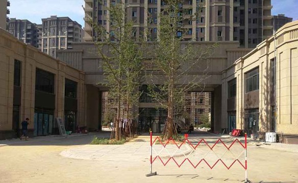 绿地悦峰公馆小区图片
