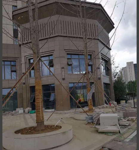 明发珠江国际小区图片4