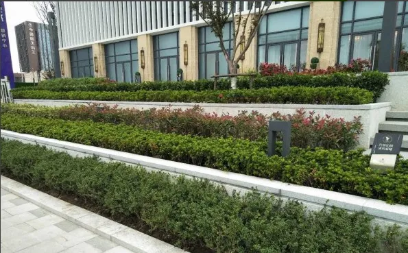 星悦城小区图片2