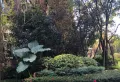 保利凤凰湾小区图片4
