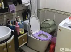 郾城区|苹果VI801室1厅1卫出售