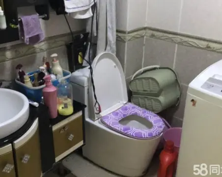 苹果VI801室1厅1卫精装