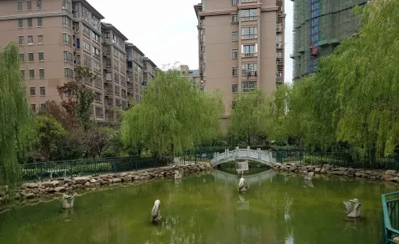 芙蓉世纪城小区图片3