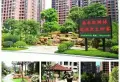 泰禾红树林小区图片2
