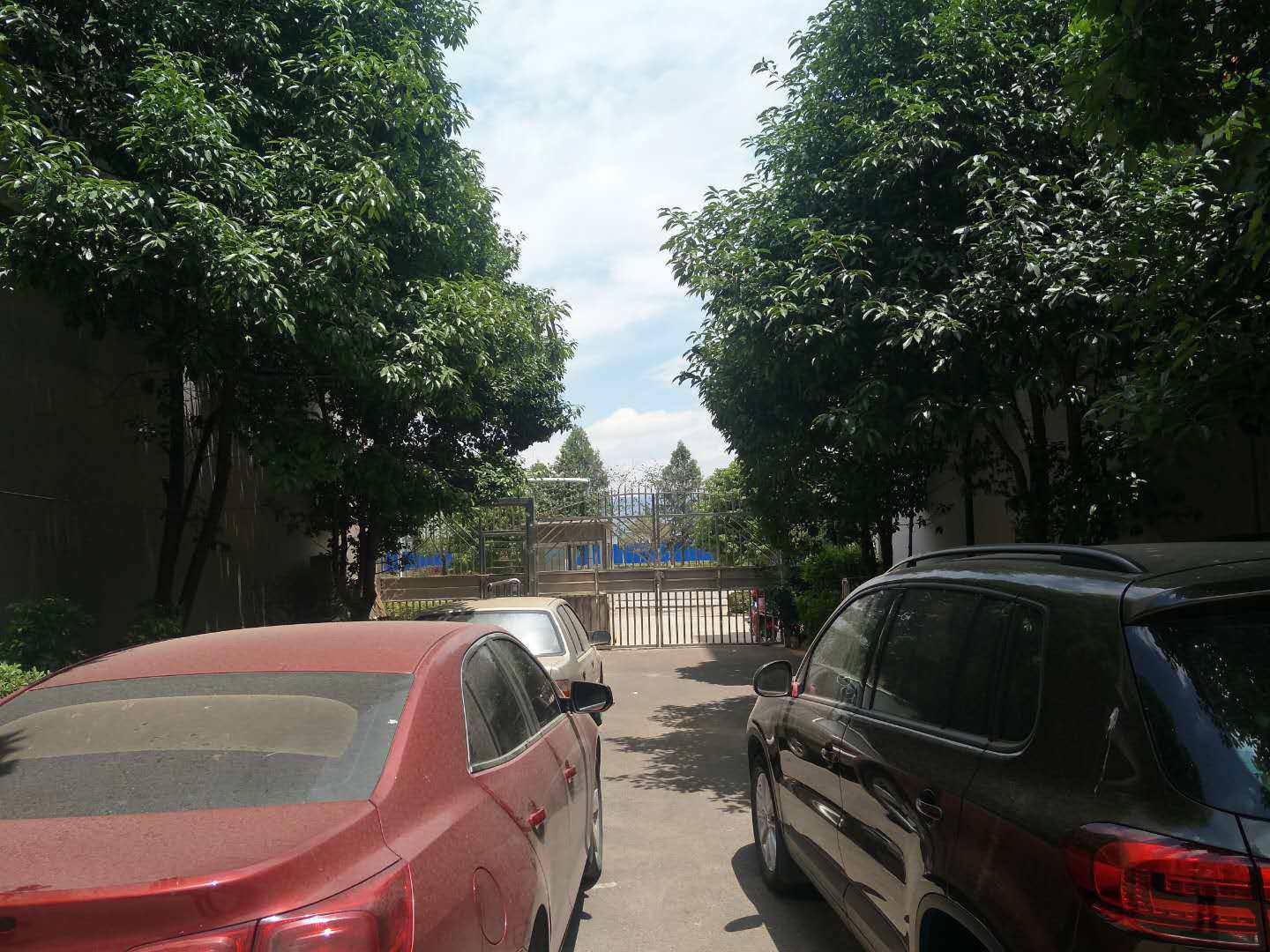出租11