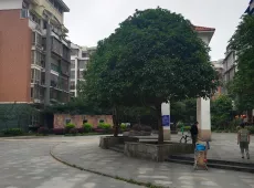 灵川县|七彩锦绣前城5室3厅3卫出售|买房租房佣金全返