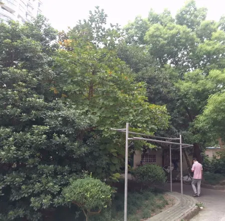 宋家滩小区小区图片4