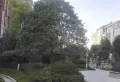 正太栖岭花园小区图片5