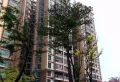 颐和人家小区图片5