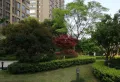 万科金域缇香小区图片2