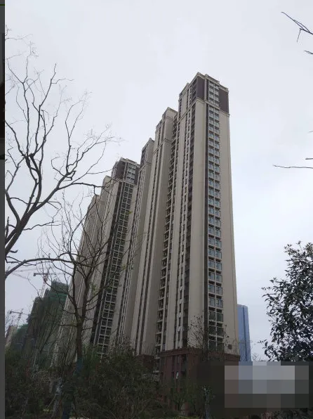 中国铁建国际公馆小区图片3