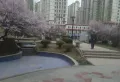 广汇家园小区图片10
