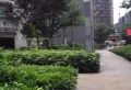 紫薇北苑小区图片5