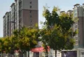 永信伯爵山小区图片1