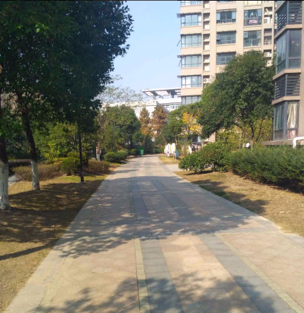 出租10