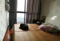天泰御府角!千年等一回别错过3