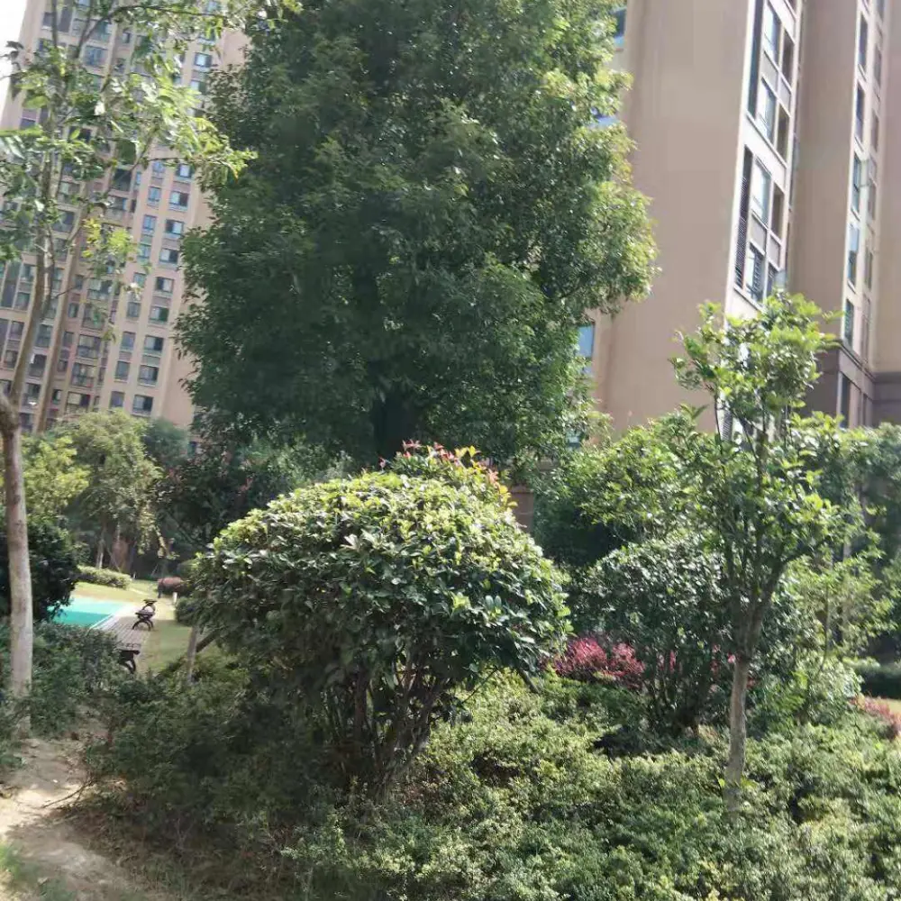 恒隆四季城楼盘图片2