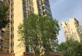 高地世纪城小区图片10