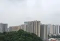 花香上海城小区图片9