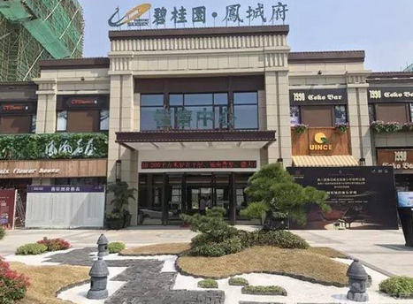 碧桂园凤城府小区图片