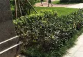 万达华府小区图片4