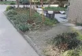 海泰尚城国际小区图片4