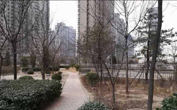 嘉禾一方楼盘图片3